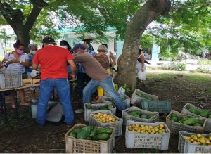 Realizan Feria Agropecuaria en la Sede Hermanos Saíz Montes de Oca