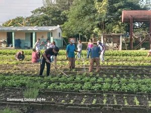 Trabajo voluntario por el Día del estudiante